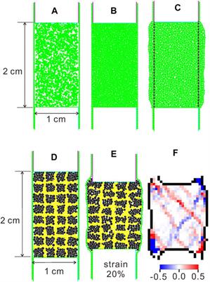 Calibration of the Discrete Element Method and Modeling of Shortening Experiments